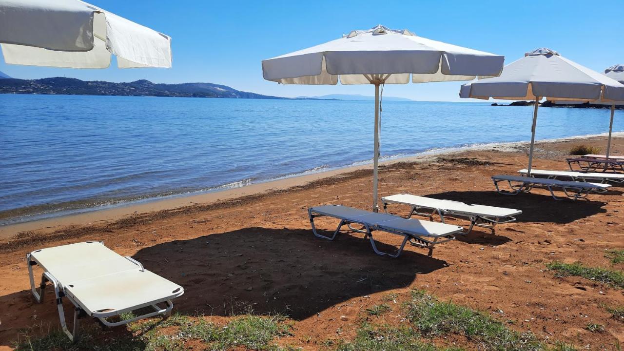 Alekos Beach Houses-Alekos Beach Complex Lixoúri Eksteriør bilde