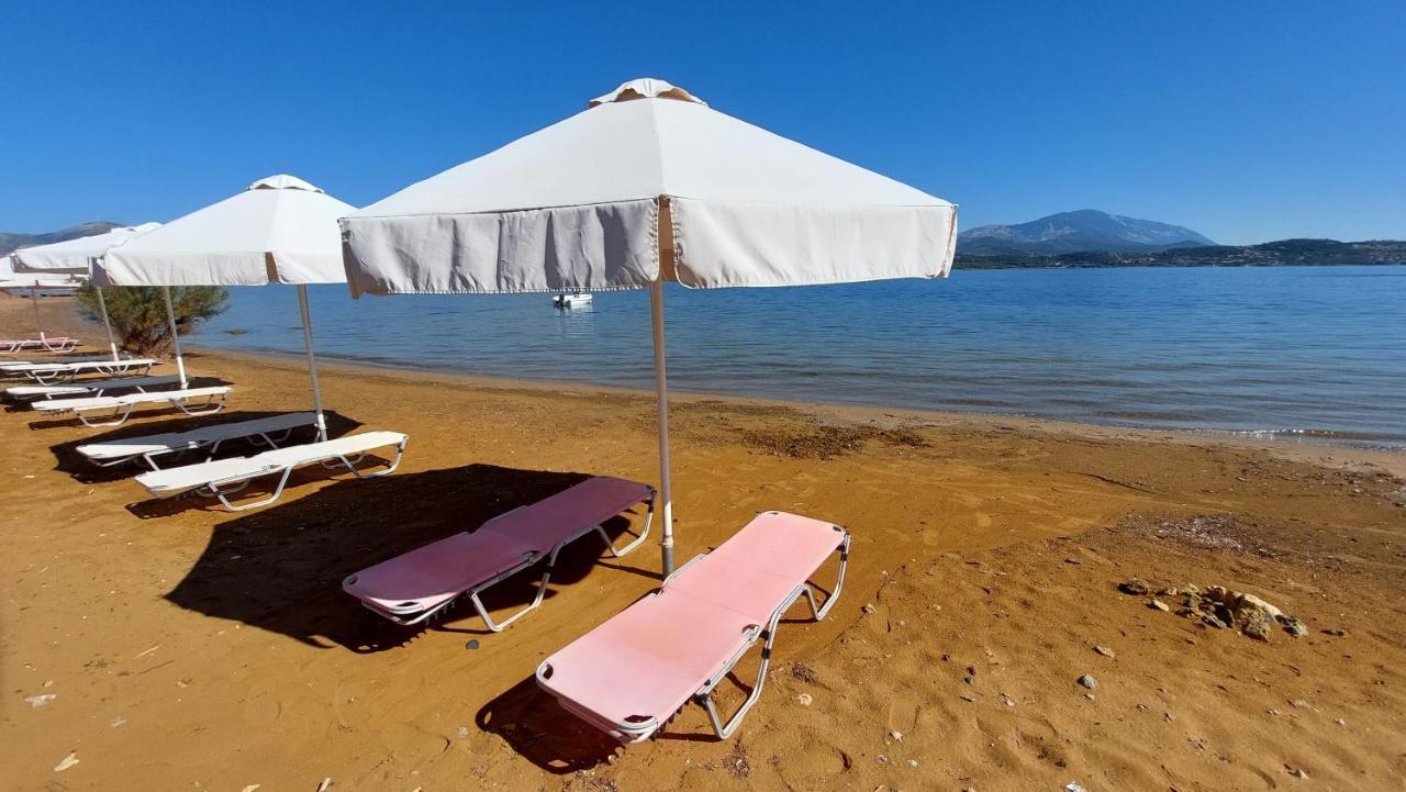 Alekos Beach Houses-Alekos Beach Complex Lixoúri Eksteriør bilde
