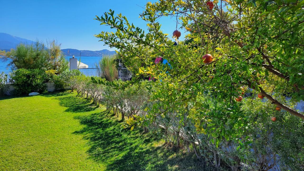Alekos Beach Houses-Alekos Beach Complex Lixoúri Eksteriør bilde